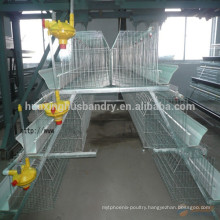 Huaxing high quality Q235 material chicken cage /layer cage